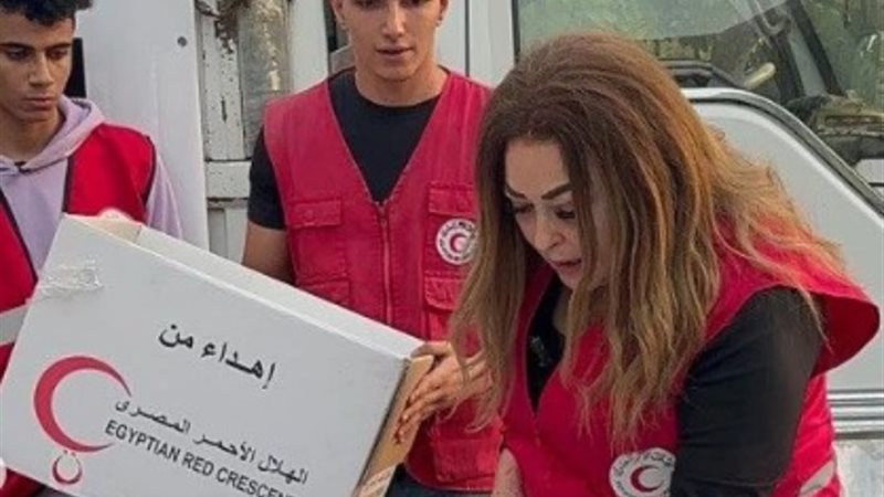 نهال عنبر