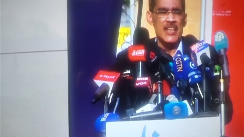 رئيس هيئة الاستعلامات المصرية