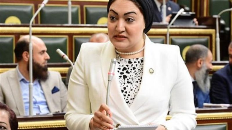 النائبة أسماء الجمال