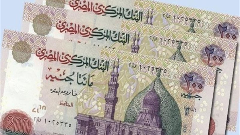 ارشيفية