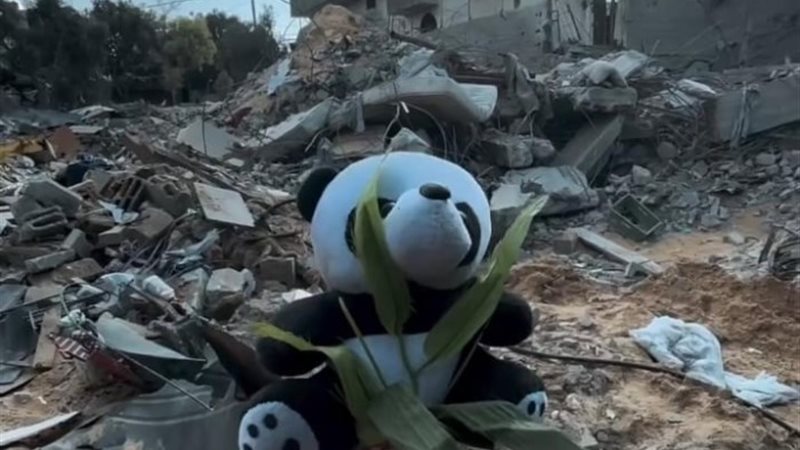 أنقاض منازل فلسطين