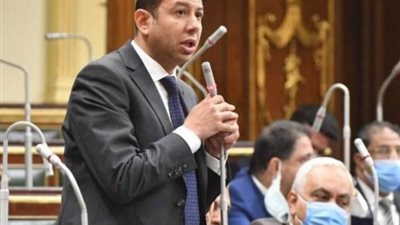 برلماني: مصر دائما تساند القضية الفلسطينية وتواصل دورها بكل قوة
