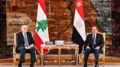 رئيس الحكومة اللبنانية يثني على مساعي مصر لحل الأزمة في غزة