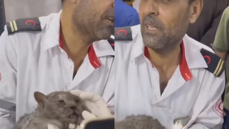 فلسطيني يحتضن أليفه