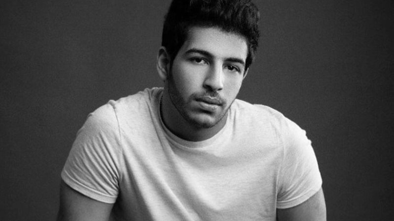 الفنان محمود عمرو ياسين