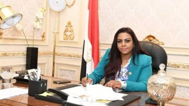 النائبة نيفين حمدي