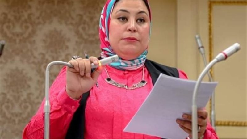 النائبة ولاء التمامي