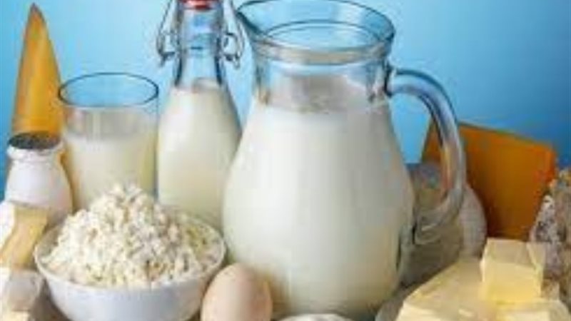 منتجات ألبان