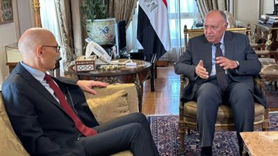 وزير الخارجية يلتقي المفوض السامي لحقوق الإنسان لبحث الأوضاع في غزة