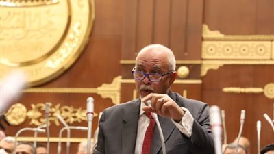 النائب حازم الجندي يقدم اقتراحاً لحل مشكلة المعاش المبكر