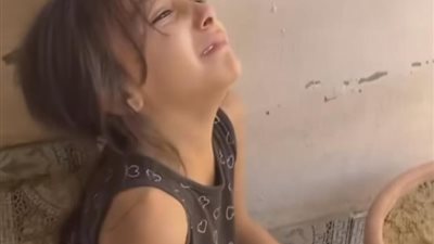 صرخة طفلة فلسطينية فقدت عصفورها في القصف.. فيديو