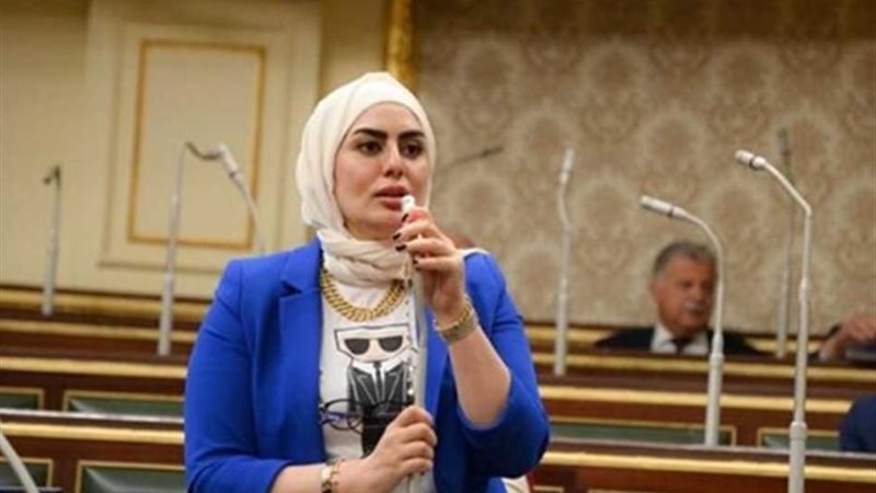 النائبة رحاب موسى