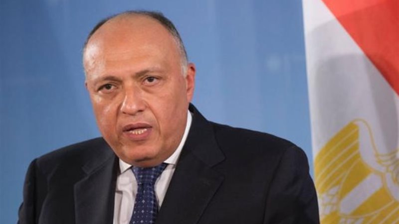 سامح شكري وزير الخارجية المصري
