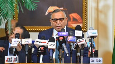 عبدالسند يمامة: برنامجي الانتخابي لا يتضمن استرضاء سياسي