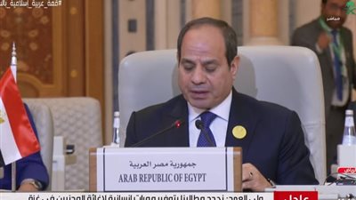 منها وقف ممارسات التهجير القسري.. مطالب مصر بالقمة العربية الإسلامية