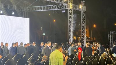 أبرز الحضور بجلسة «صوت غزة من القاهرة» لمجلس القبائل