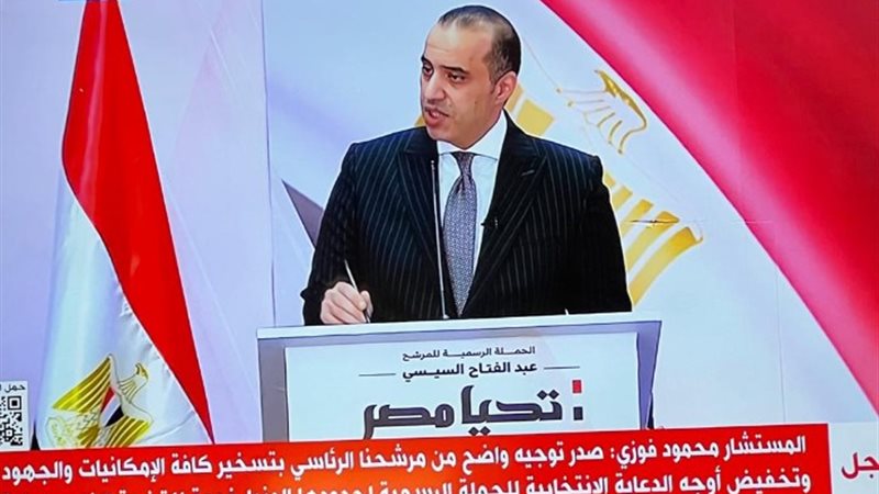 المستشار محمود فوزي
