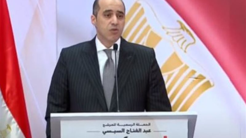 المستشار محمود فوزي