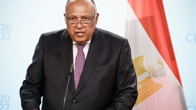 وزير الخارجية سامح شكري