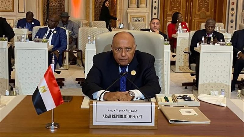 سامح شكرى وزير الخارجية