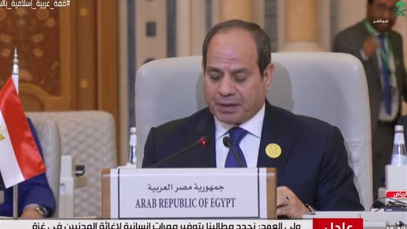 الرئيس عبد الفتاح السيسي