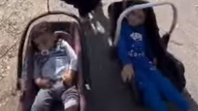 أم تجر أولادها
