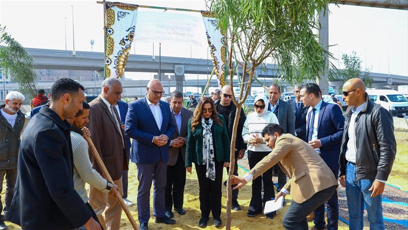 مشروع زراعة وتشجير المحاور المرورية