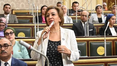 عضو بـ«النواب»: ما حدث في قانون مجلس الشيوخ تعديلات طفيفة في الدوائر