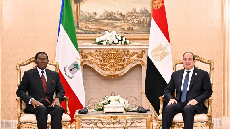الرئيس عبد الفتاح السيسي 