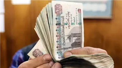 اتحاد شركات التأمين: 10.3 مليون شخص مؤمن عليهم في مصر