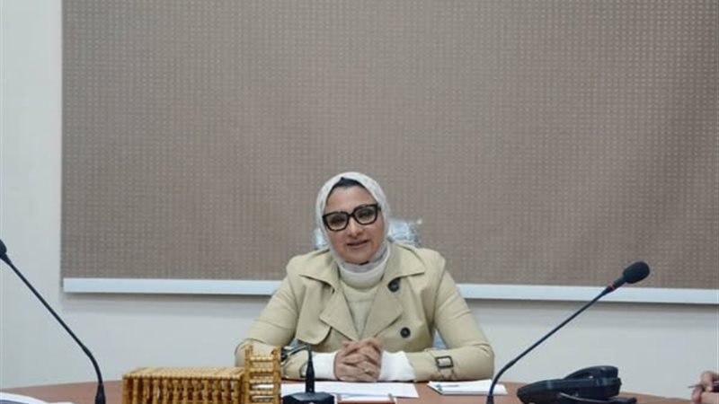 نائب محافظ الوادي