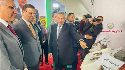 البلطي بـ60 جنيها.. طرح أسماك بتخفيضات 30% في معرض أهلا رمضان بالجيزة