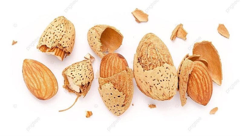 قشور اللوز