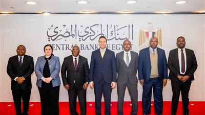 «المركزي» يستقبل وفدًا من نظيره التنزاني لتعزيز التعاون الإقليمي مع الدول الإفريقية