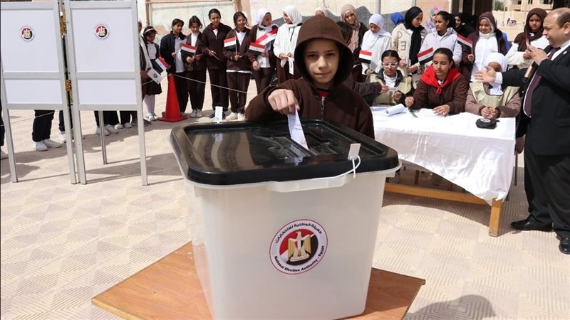 محاكاة الانتخابات 