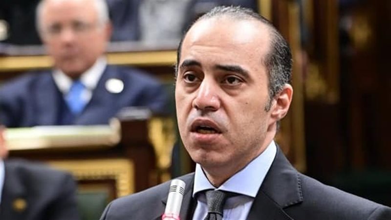 المستشار محمود فوزي 