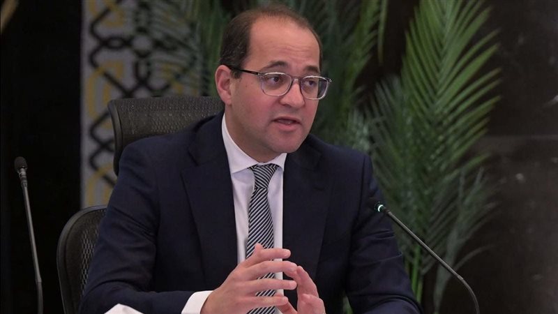 وزير المالية