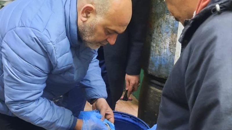 جانب من الحملات التفتيشية 