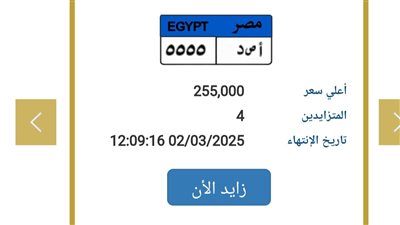 سعرها 255 ألف جنيه فقط.. أرخص لوحة سيارة على بوابة مرور مصر