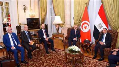 وزير الخارجية يبحث مع نظيره التونسي تطورات القضية الفلسطينية