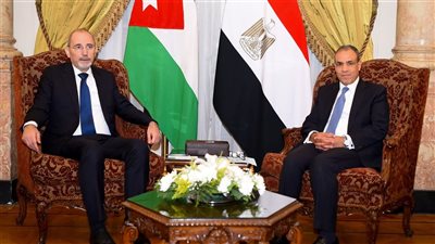 وزير الخارجية يبحث مع نظيره الأردني مستجدات القضية الفلسطينية قبل القمة العربية