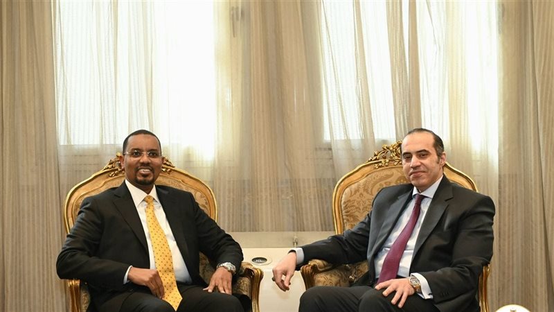 محمود فوزي يستقبل وزير الدولة للعدل بالصومال