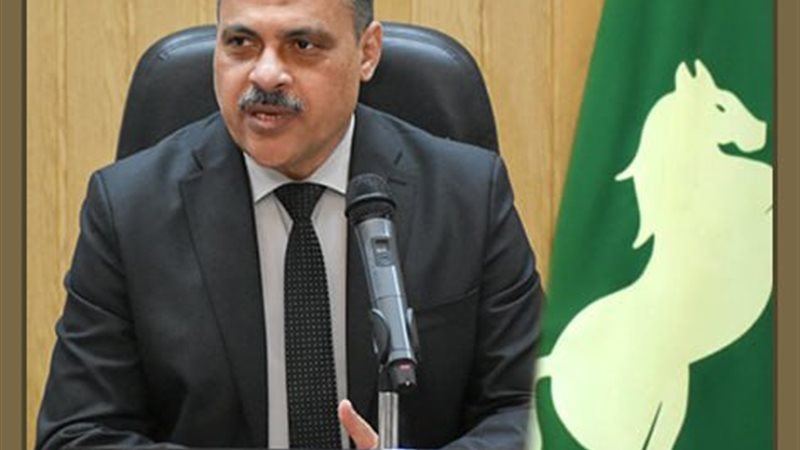محافظ الشرقية 