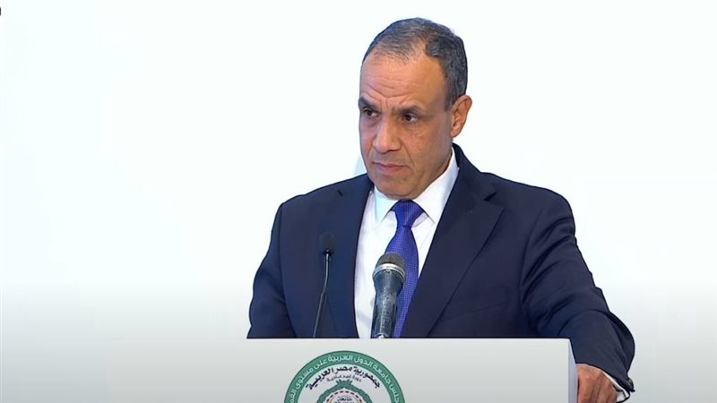 وزير الخارجية بدر عبد العاطي 