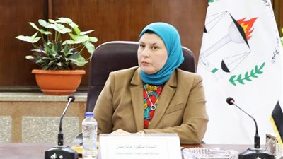 مدير «البحوث الاجتماعية والجنائية» توضح إيجابيات وسلبيات إعلانات شهر رمضان