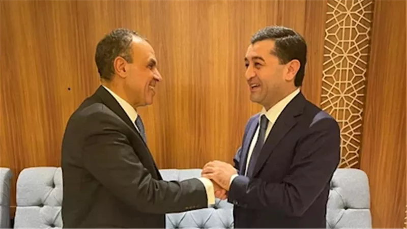 وزير الخارجية الدكتور بدر عبد العاطي