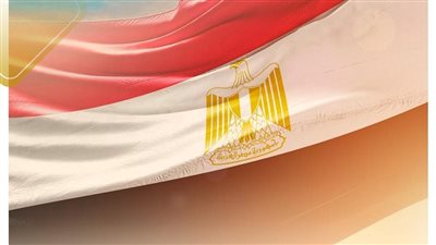«التنسيقية» تهنئ الشعب المصري العظيم بذكرى يوم الشهيد