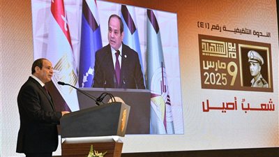 الرئيس السيسي: لن نقبل بتهجير الشعب الفلسطيني من أرضه