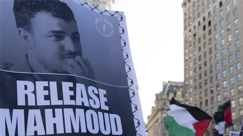 محمود خليل