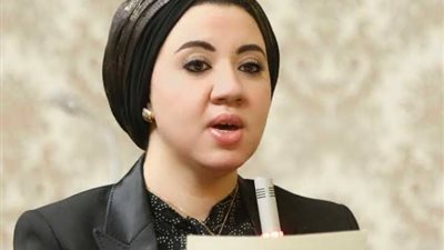 برلمانية تطالب بزيادة نسبة العلاوة الدورية في مشروع قانون العمل الجديد 